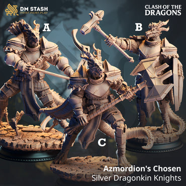 Azmordion's Chosen, Silver Dragonkin Knights (Dragonborn Paladins) (Online Only)