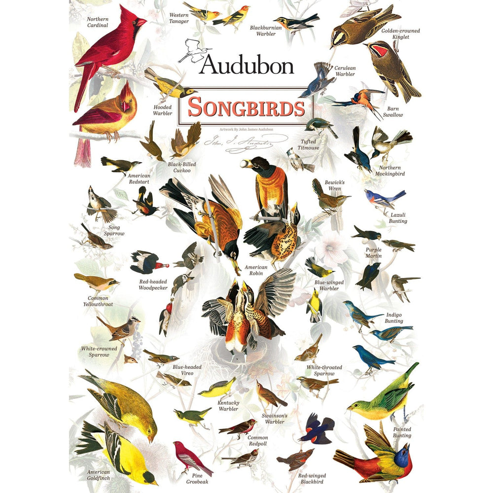 Audubon - Songbirds 1000 Piece Jigsaw Puzzle (ONLINE ORDER ONLY)