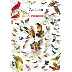 Audubon - Songbirds 1000 Piece Jigsaw Puzzle (ONLINE ORDER ONLY)
