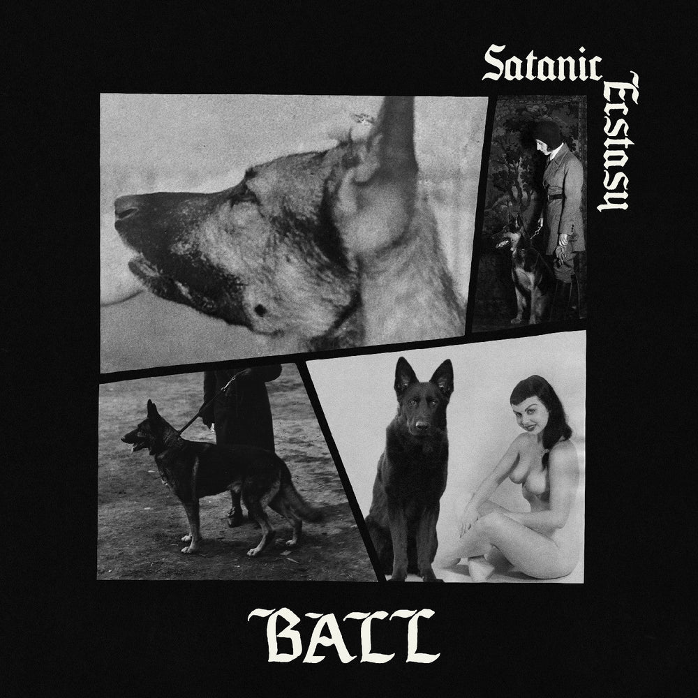 Satanic Ecstasy (Deluxe Edition, Satanic Sex Splatter Vinyl) [Vinyl]