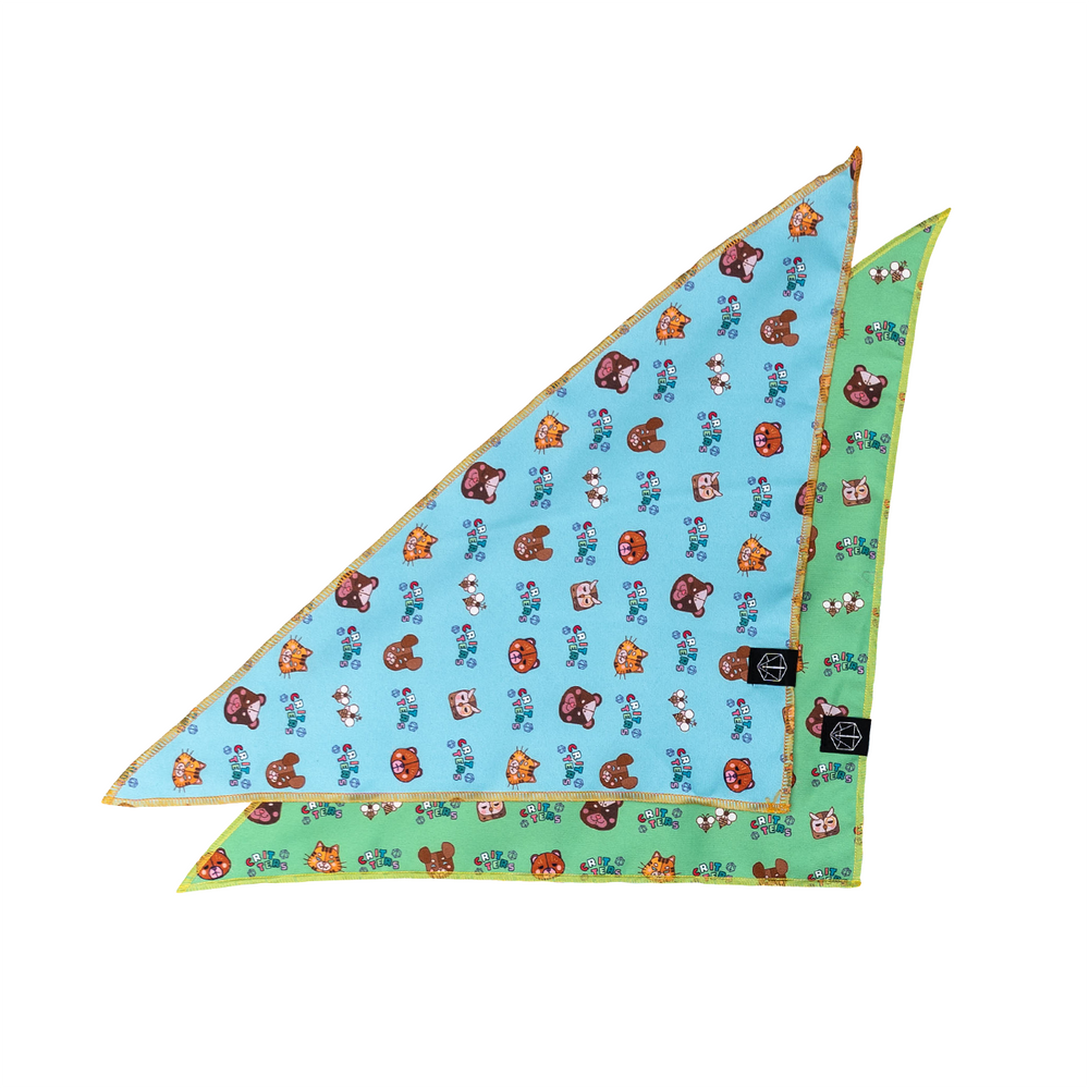 Critical Role: Reversible Pet Bandana Set 2-Pack (M) (ONLINE ORDER ONLY)