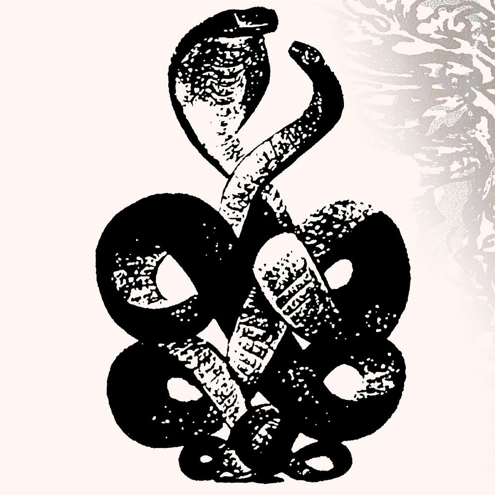 Volume 4 & 5 [Vinyl] (ONLINE ORDER ONLY)