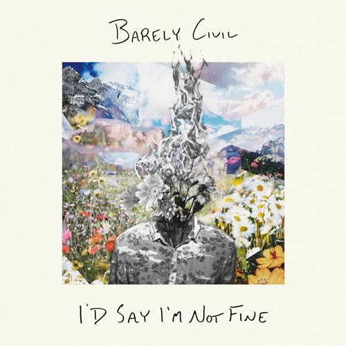 I’d Say I’m Not Fine [Vinyl]