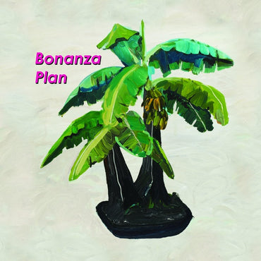 BARRINGTONE - Bonanza Plan [Vinyl] (ONLINE ORDER ONLY)