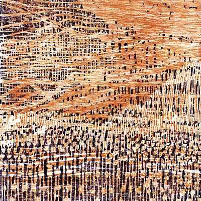 BARRY ANDREWSIN DISKO - Kuka siella? [Vinyl]