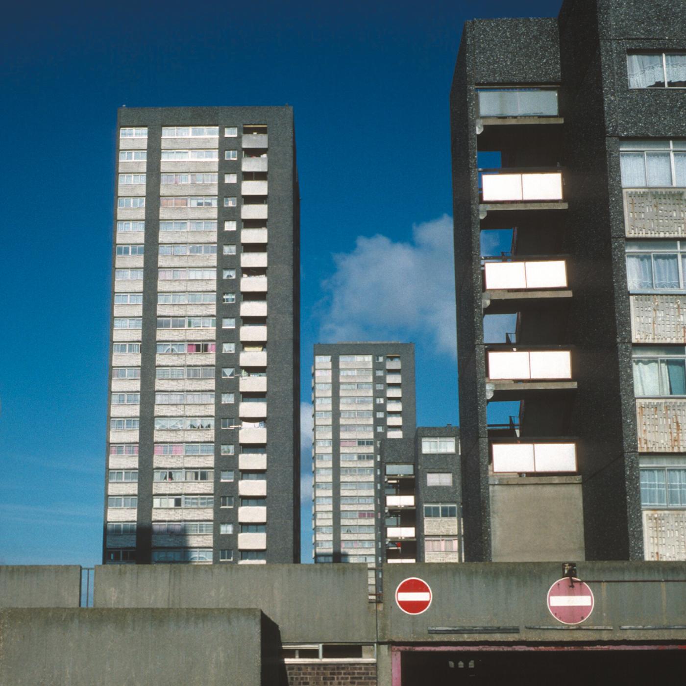 Electronic Labyrinth [Vinyl] (ONLINE ORDER ONLY)