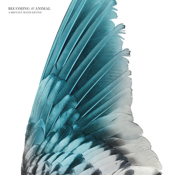 BECOMING ANIMAL - A Distant Hand Lifted [Vinyl]