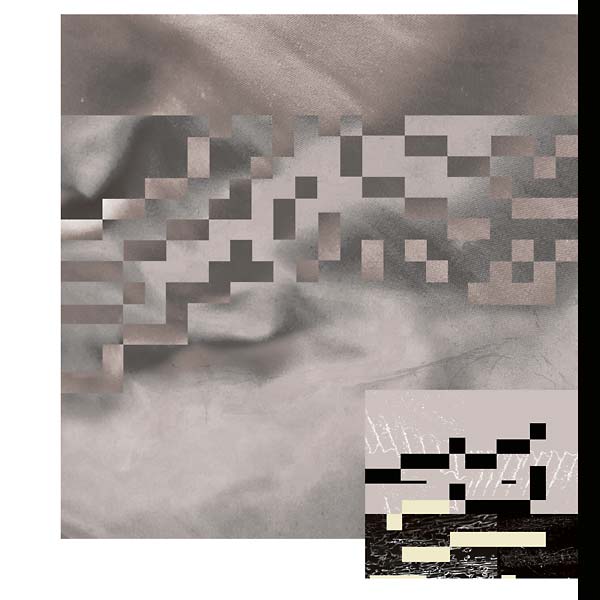Moments in Shapeshifting [Vinyl]