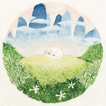 Songs For Sleeping Dogs [Vinyl] (ONLINE ORDER ONLY)