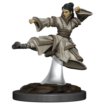 D&D: Icons of the Realms - Human Monk Female (ONLINE ORDER ONLY)