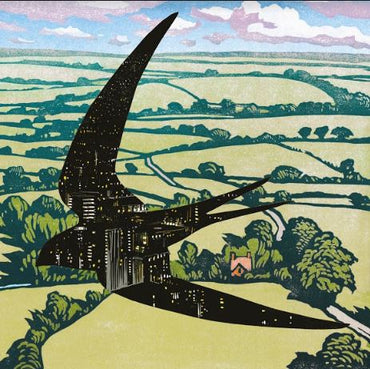 Sleep On The Wing [Vinyl] (ONLINE ORDER ONLY)