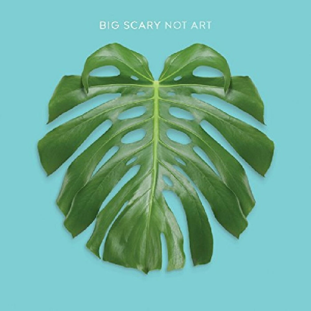 Not Art [Vinyl] (ONLINE ORDER ONLY)