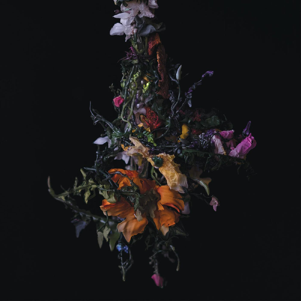 nature morte [CD]