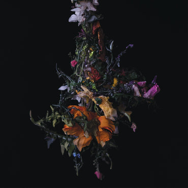nature morte [CD]