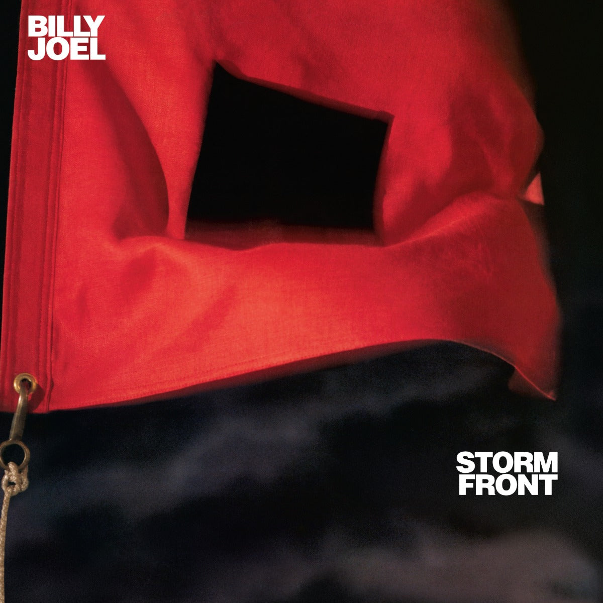 Storm Front [Vinyl] (ONLINE ORDER ONLY)