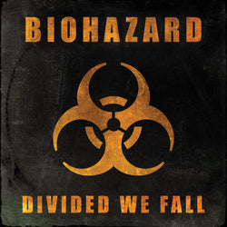 Divided We Fall (Black Vinyl) [Vinyl]