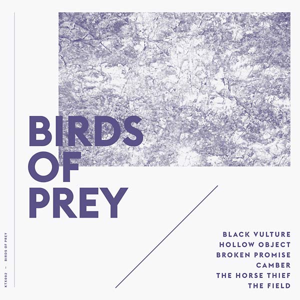 BIRDS OF PREY - Birds of Prey [Vinyl] (ONLINE ORDER ONLY)
