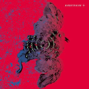 BIRDSTRIKING - Birdstriking [CD] (ONLINE ORDER ONLY)