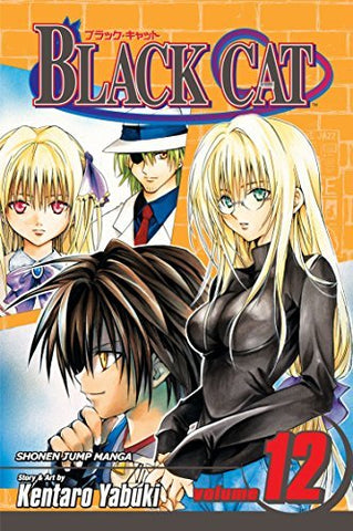 Black Cat Vol 12 (Online Order Only)