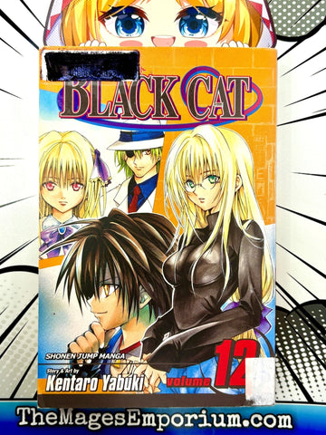 Black Cat Vol 12 Ex Library (Online Order Only)