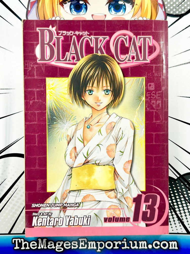 Black Cat Vol 13 (Online Order Only)