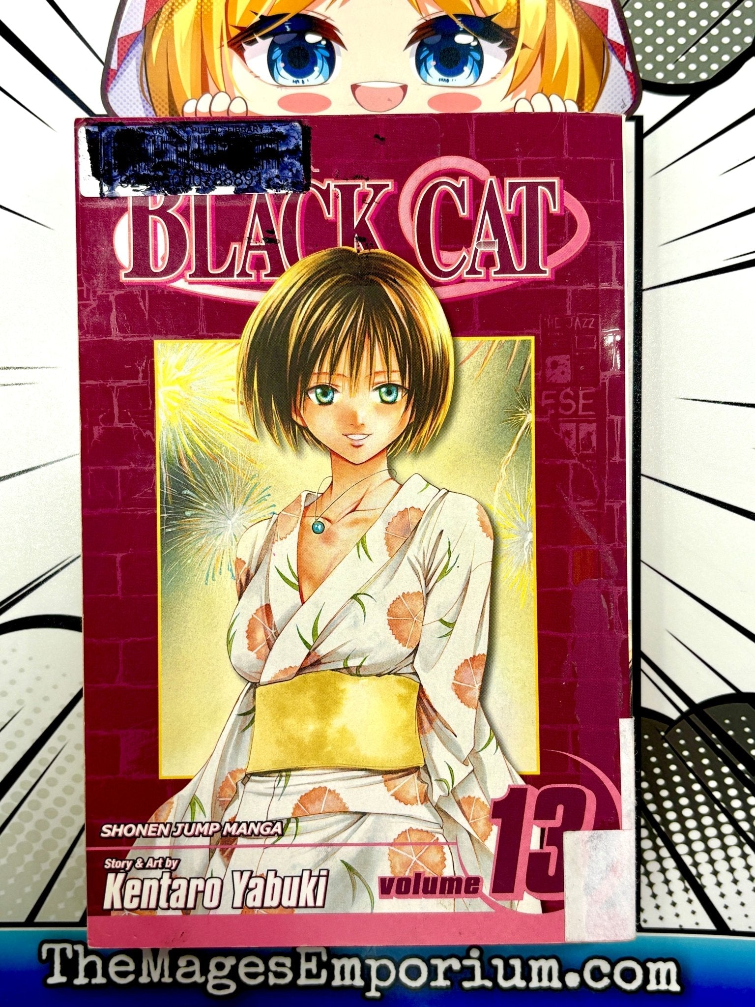 Black Cat Vol 13 Ex Library (Online Order Only)