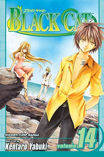 Black Cat Vol 14 (Online Order Only)