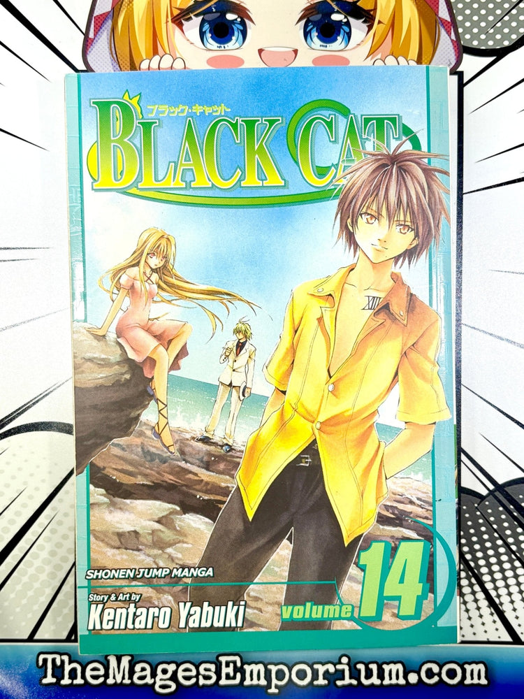 Black Cat Vol 14 (Online Order Only)
