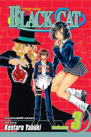 Black Cat Vol 3 (Online Order Only)
