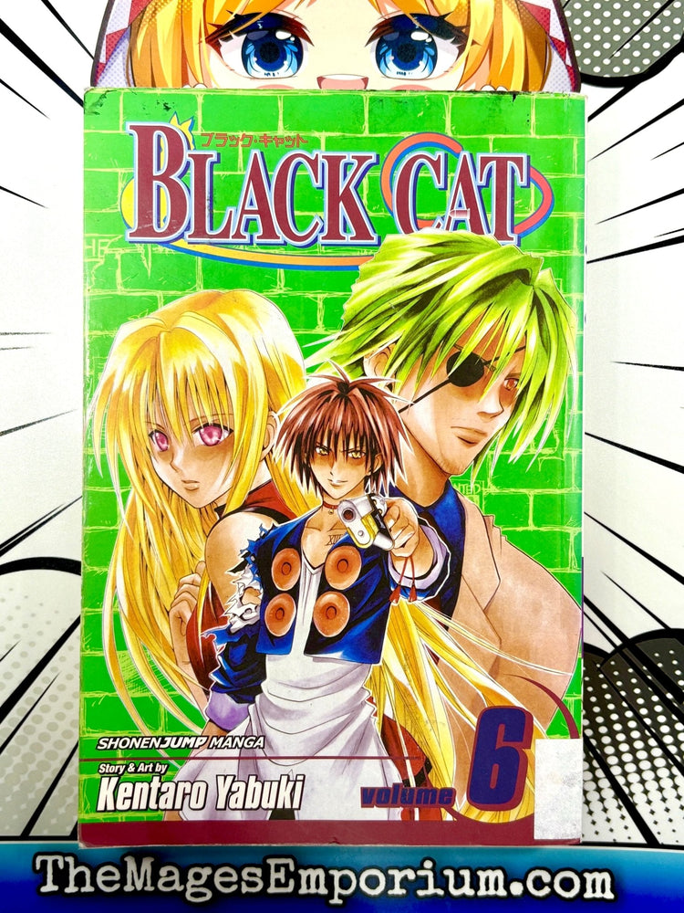 Black Cat Vol 6 Ex Library (Online Order Only)