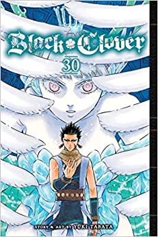 Black Clover Vol 30 (Online Order Only)