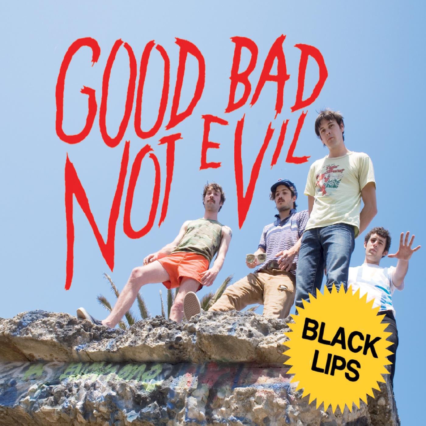 Good Bad Not Evil (DELUXE EDITION) [CD] (ONLINE ORDER ONLY)