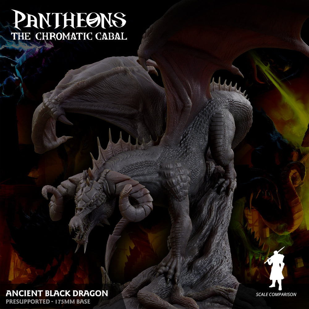 3D Printed Sordane Publishing Ancient Black Dragon Pantheons The Chromatic Cabal 28 32mm D&D (Online Only)