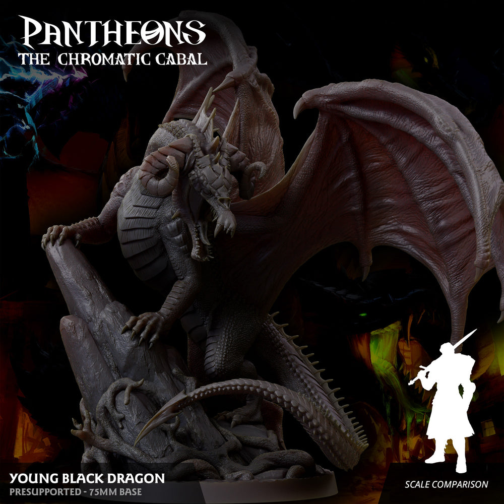 3D Printed Sordane Publishing Young Black Dragon Pantheons The Chromatic Cabal 28 32mm D&D (Online Only)