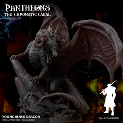 3D Printed Sordane Publishing Young Black Dragon Pantheons The Chromatic Cabal 28 32mm D&D (Online Only)