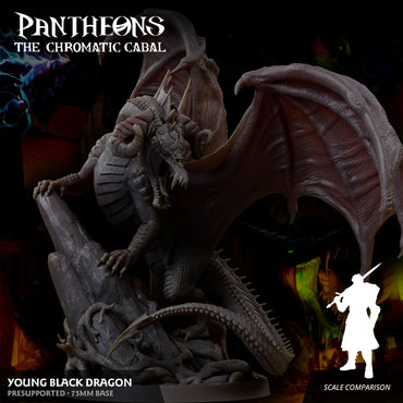 3D Printed Sordane Publishing Young Black Dragon Pantheons The Chromatic Cabal 28 32mm D&D (Online Only)
