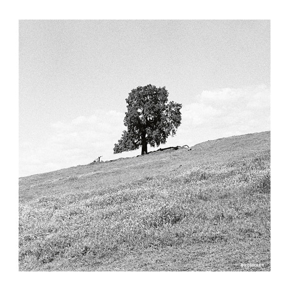 BLANK GLOSS - Cornered [Vinyl] (ONLINE ORDER ONLY)