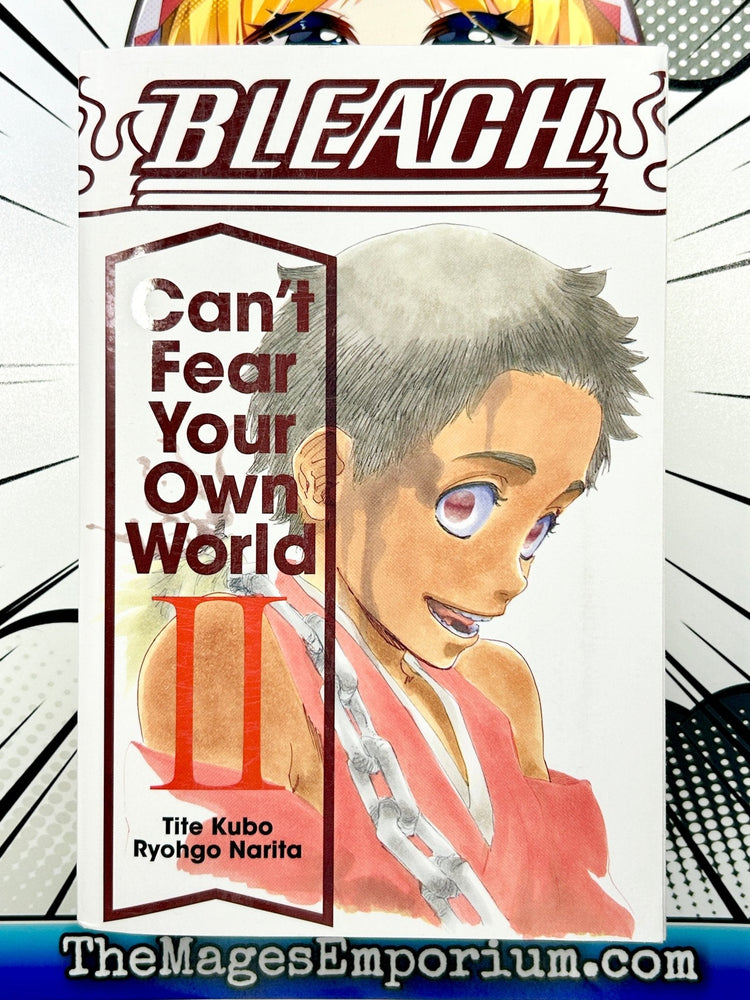 Bleach Can't Fear Your Own World Vol 2 (Online Order Only)