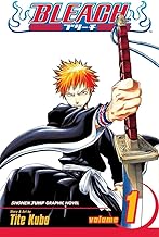 Bleach Vol 1 Hardcover (Online Order Only)