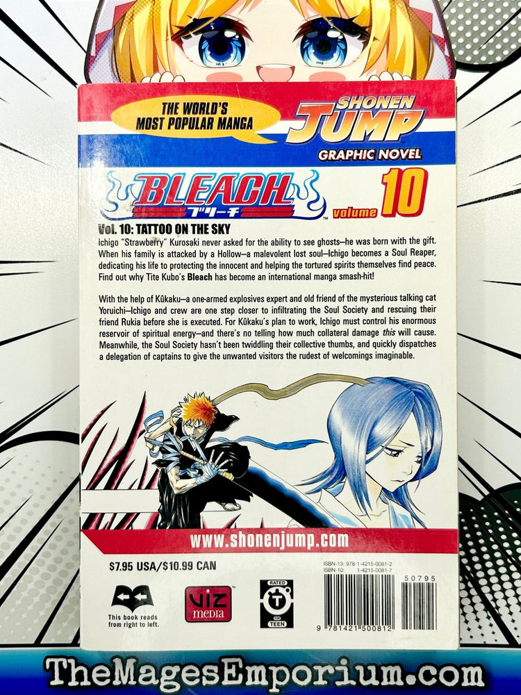 Bleach Vol 10 (Online Order Only)