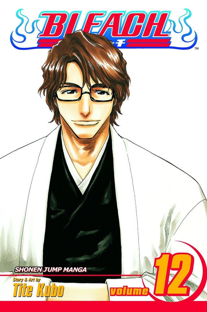 Bleach Vol 12 (Online Order Only)