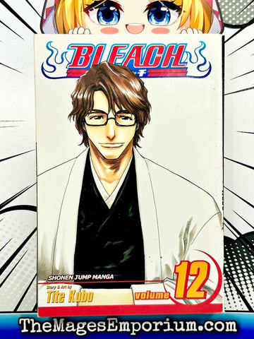 Bleach Vol 12 (Online Order Only)