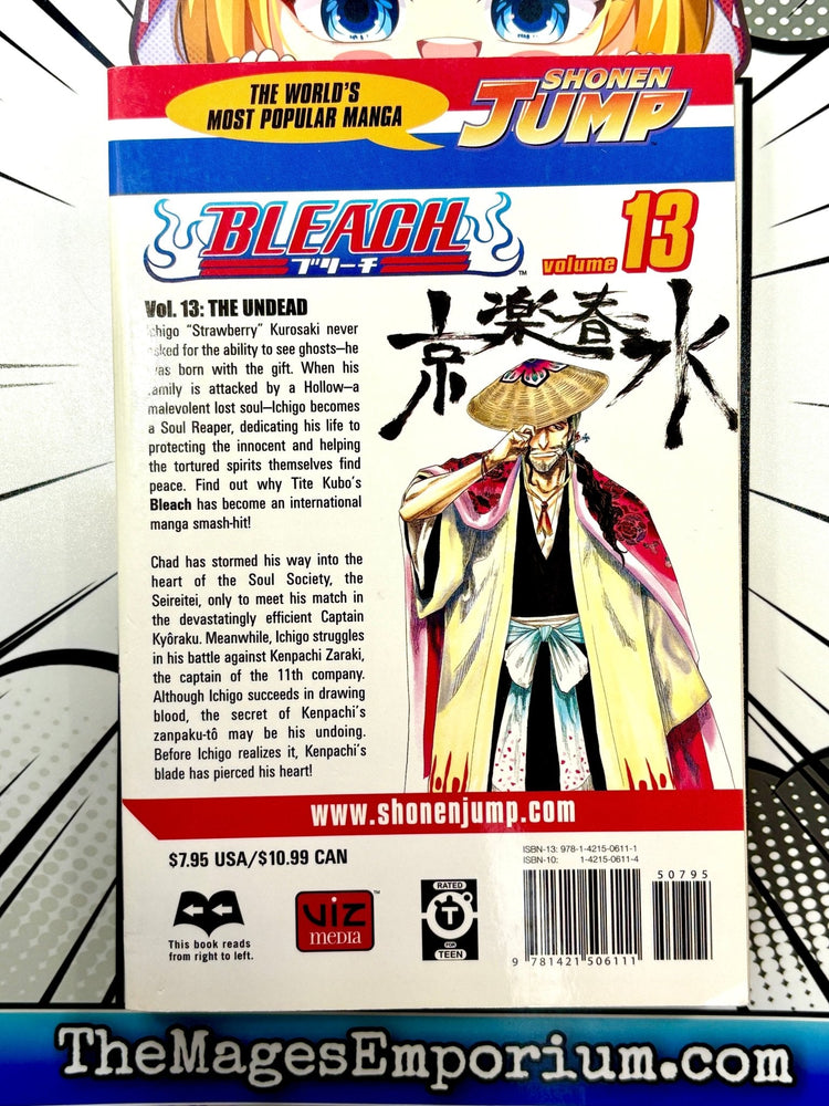 Bleach Vol 13 (Online Order Only)