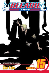 Bleach Vol 15 (Online Order Only)