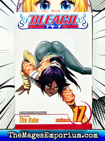 Bleach Vol 17 (Online Order Only)