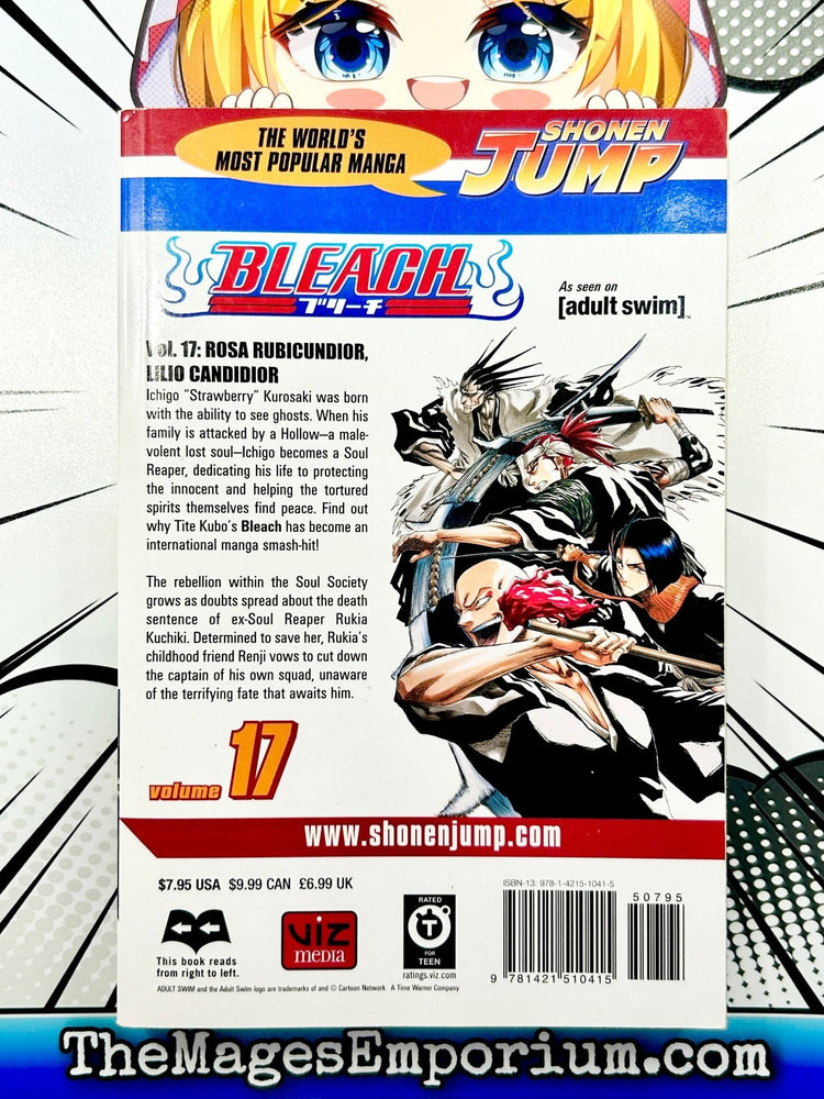 Bleach Vol 17 (Online Order Only)