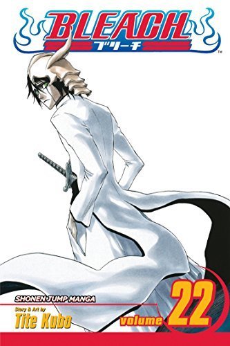 Bleach Vol 22 (Online Order Only)