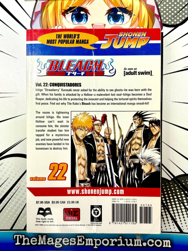 Bleach Vol 22 (Online Order Only)