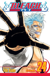 Bleach Vol 24 (Online Order Only)