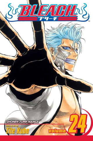 Bleach Vol 24 (Online Order Only)